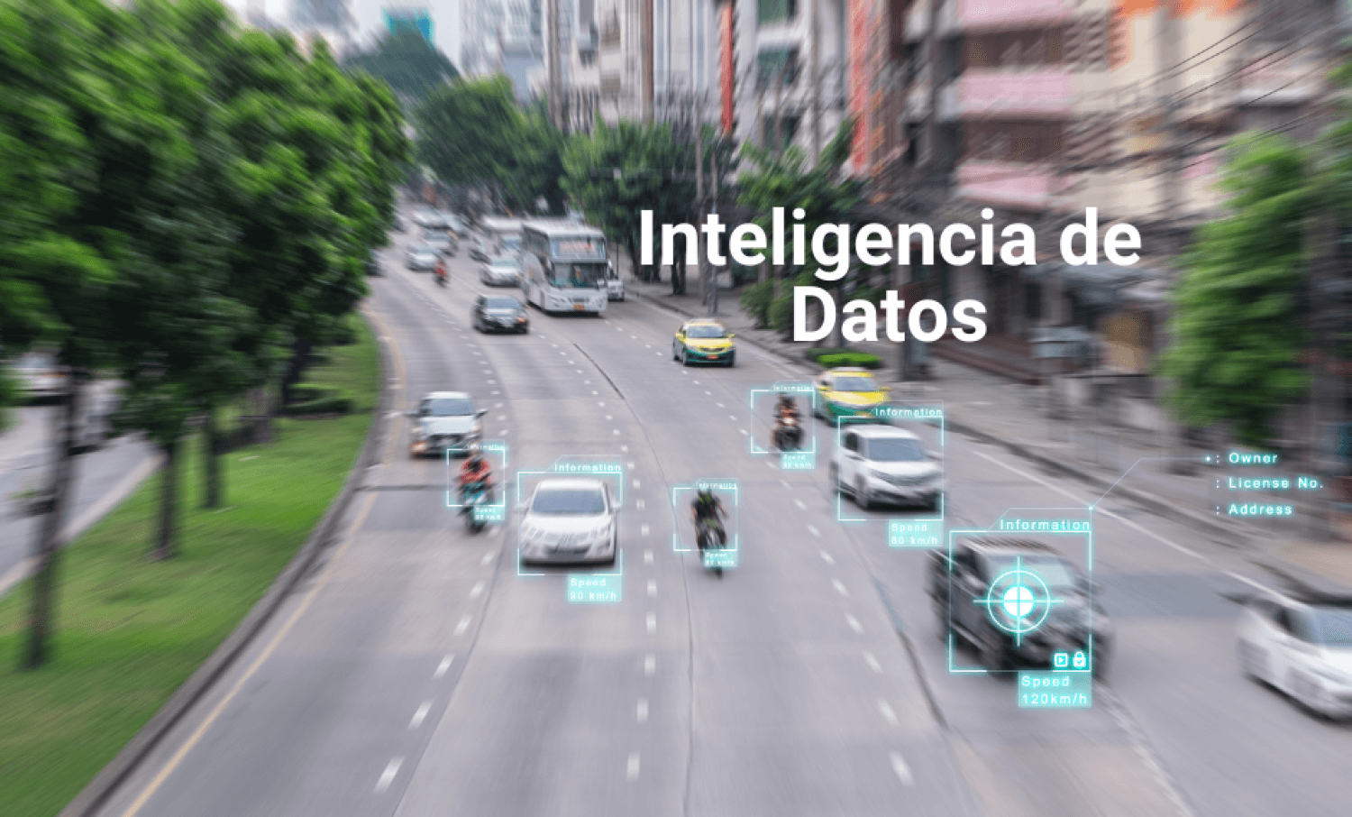 Mejora tus decisiones con la inteligencia de datos de Geotab e Intelligis